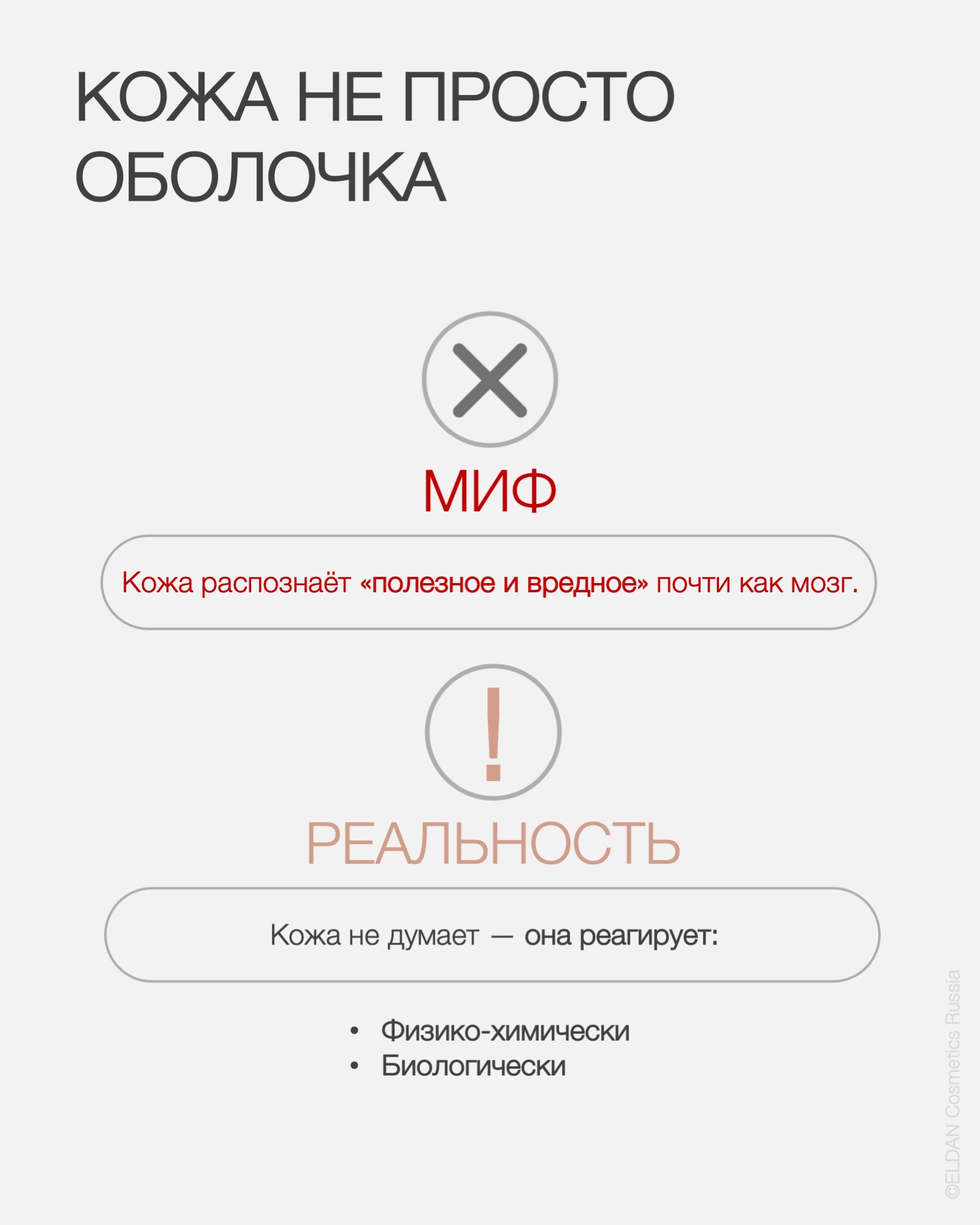 Пост распознавание активов 2.jpg